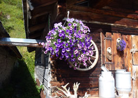 ferienwohnung, aktivurlaub sommer