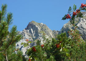 ferienwohnung, aktivurlaub sommer