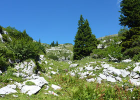 brandnertal, ferienwohnung