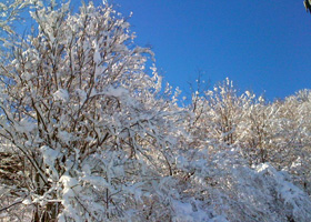 ferienwohnung, aktivurlaub winter